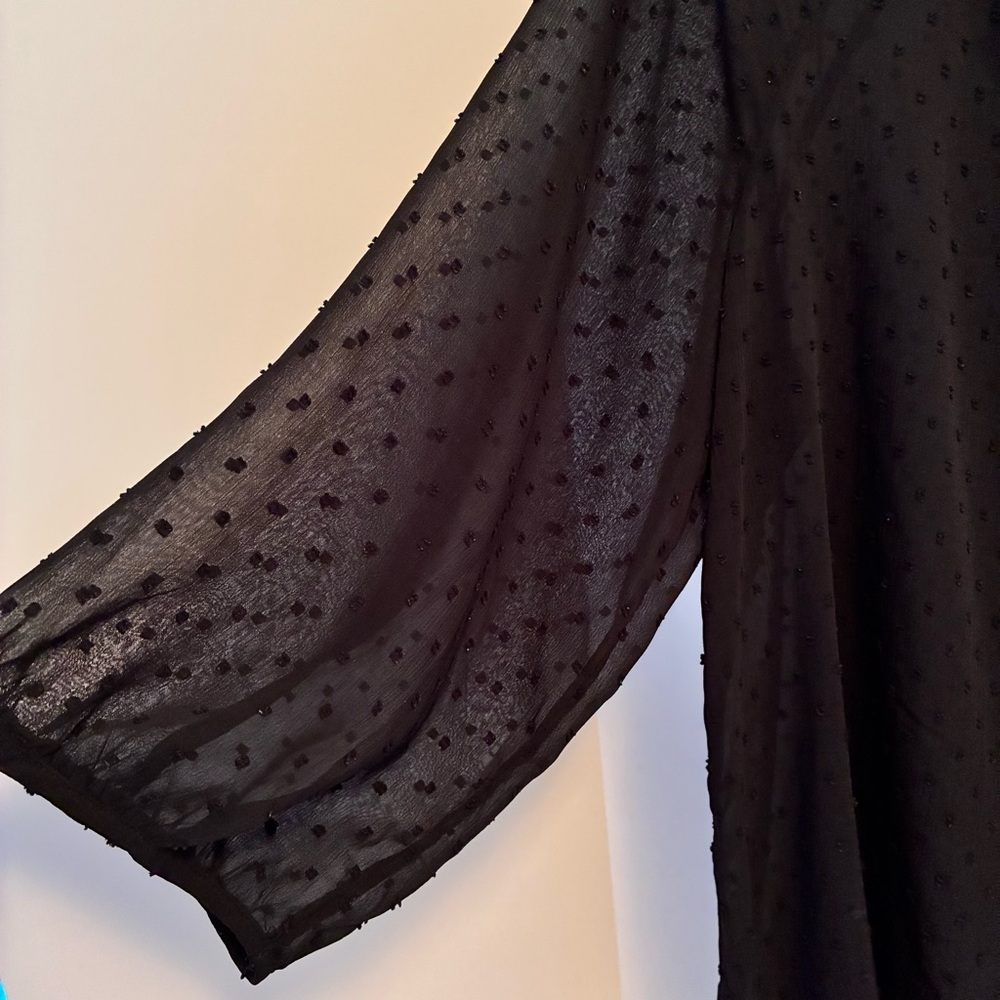 Old Navy Women's Swiss Dot Chiffon Long Sleeve Blouse Top Black Size XXL - Picture 3 of 6